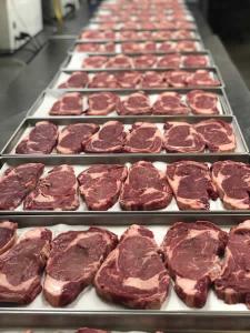 LIMITED SUPPLY Pack of Freeze Dried Black Angus USDA Prime Uncooked Whole Rib Eye Steaks
