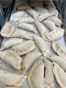 [LIMITED PRODUCTION] Freeze Dried Gourmet Fully Prepared Chicken and Vegetable Potstickers