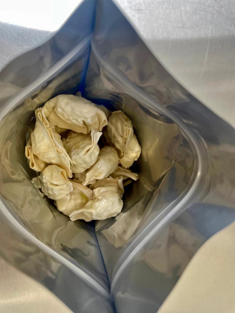 [LIMITED PRODUCTION] Freeze Dried Gourmet Fully Prepared Chicken and Cilantro Wontons