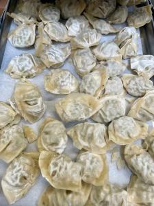 [LIMITED PRODUCTION] Freeze Dried Gourmet Fully Prepared Chicken and Cilantro Wontons