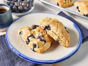 Freeze Dried Ready To Bake Blueberry Scones