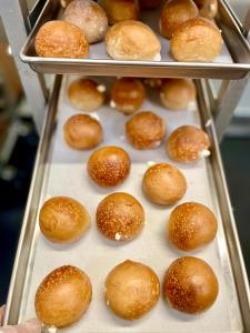 LIMITED PRODUCTION Freeze Dried Fully Cooked Plain Cream Cheese Stuffed Bagel Bites