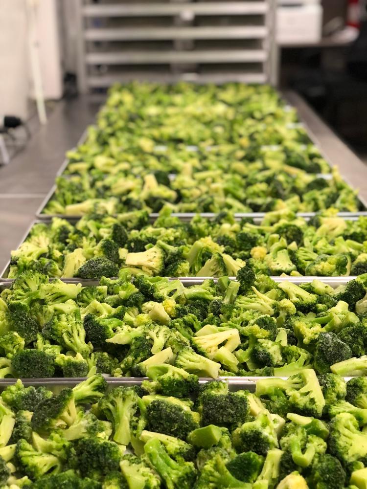 Freeze Dried Fully Cooked Chicken Nugget Happy Meal Deal Bundle/Combo - Four Packs Total; Freeze Dried Panko Breaded Chicken Nuggets, Mac-n-Cheese Wedges, Broccoli Florets and Chocolate Chip Cookie Dough for Dessert!