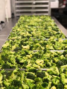 Freeze Dried Fully Cooked Chicken Nugget Happy Meal Deal Bundle/Combo - Four Packs Total; Freeze Dried Panko Breaded Chicken Nuggets, Mac-n-Cheese Wedges, Broccoli Florets and Chocolate Chip Cookie Dough for Dessert!