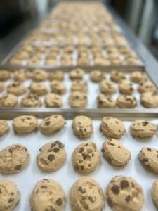 Freeze Dried Fully Cooked Chicken Nugget Happy Meal Deal Bundle/Combo - Four Packs Total; Freeze Dried Panko Breaded Chicken Nuggets, Mac-n-Cheese Wedges, Broccoli Florets and Chocolate Chip Cookie Dough for Dessert!