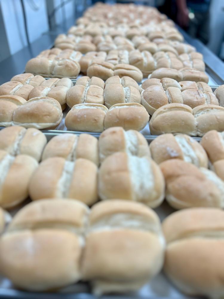 Freeze Dried Cheeseburger Meal Deal Bundle/Combo - Four Packs Total; Freeze Dried Beef patties, Hamburger Buns, Cheddar Cheese and Lattice Cut Sweet Potato Fries!