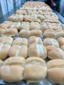 Freeze Dried Cheeseburger Meal Deal Bundle/Combo - Four Packs Total; Freeze Dried Beef patties, Hamburger Buns, Cheddar Cheese and Lattice Cut Sweet Potato Fries!