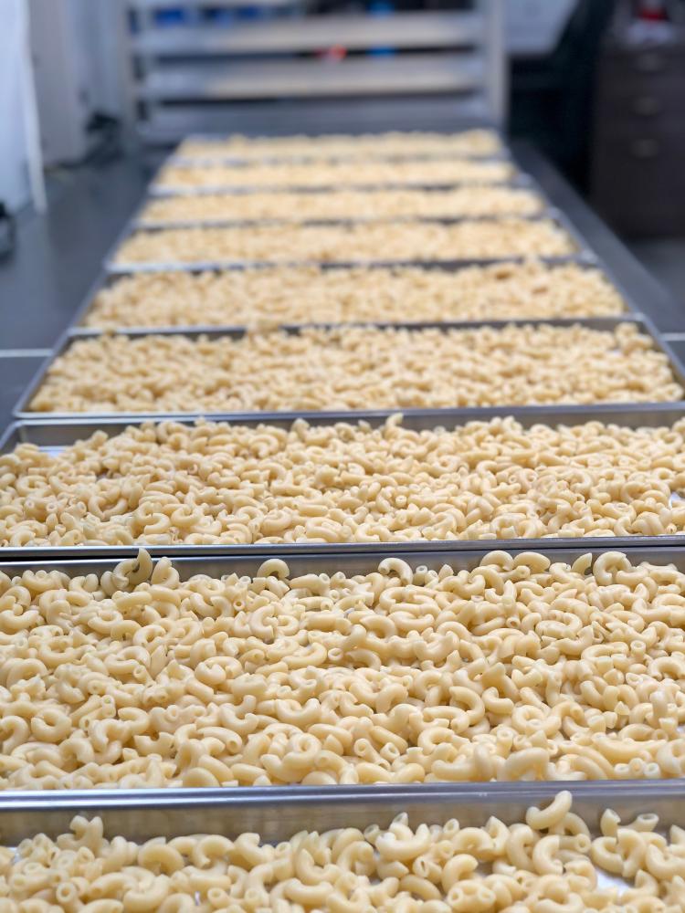 Freeze Dried Fully Cooked Italian Meatball Dinner Meal Deal Bundle/Combo - Four Packs of Really Gooood Food!