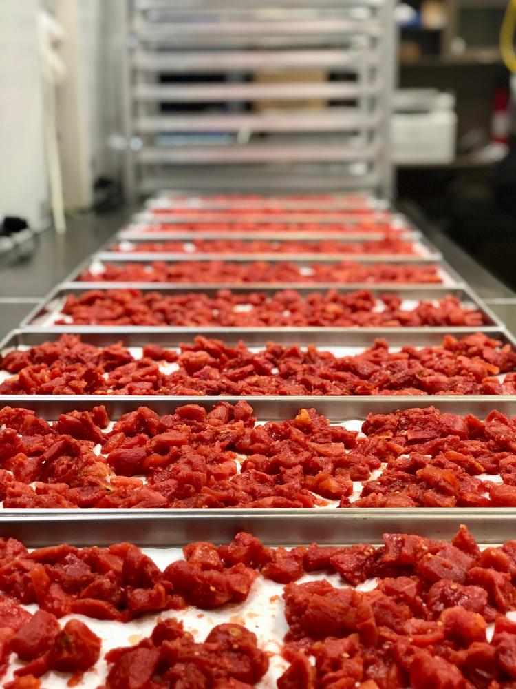 Freeze Dried Fully Cooked Italian Meatball Dinner Meal Deal Bundle/Combo - Four Packs of Really Gooood Food!