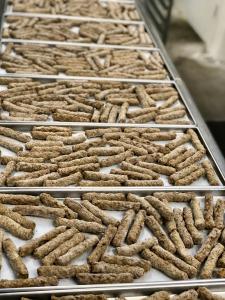 Freeze Dried Fully Cooked Scrambled Egg Breakfast Meal Deal Bundle/Combo - Four Packs Total; Freeze Dried Scrambled Eggs, Hash Brown Potatoes, Turkey Breakfast Sausages and Buttermilk Biscuits!