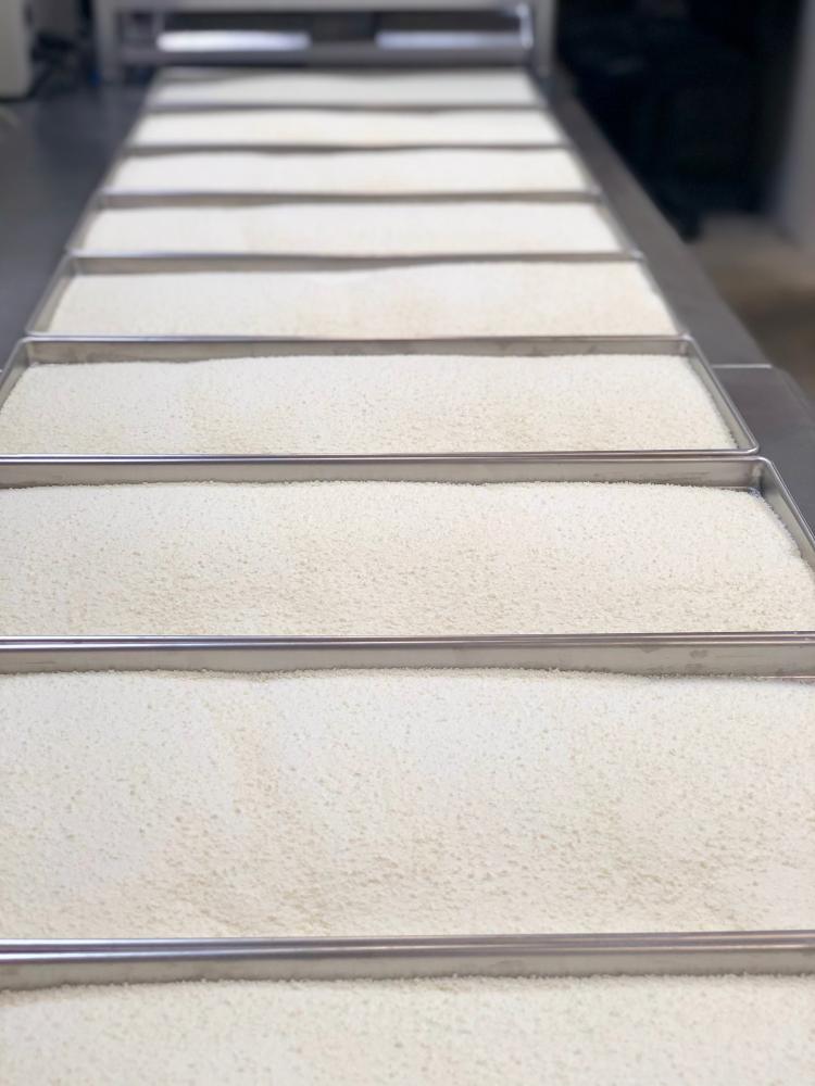 Freeze Dried Holiday Turkey Dinner Bundle/Combo - Five Packs Total; Freeze Dried Fully Cooked Turkey Breast, Mashed Idahoan Potatoes, Cut Corn, Green Beans and Fresh Sliced Pumpkin Pie for Dessert!