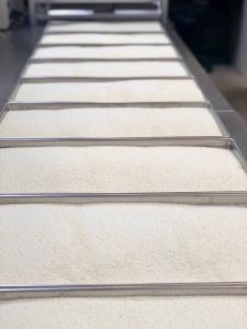 Freeze Dried Holiday Turkey Dinner Bundle/Combo - Five Packs Total; Freeze Dried Fully Cooked Turkey Breast, Mashed Idahoan Potatoes, Cut Corn, Green Beans and Fresh Sliced Pumpkin Pie for Dessert!