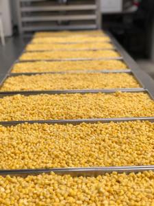 Freeze Dried Holiday Turkey Dinner Bundle/Combo - Five Packs Total; Freeze Dried Fully Cooked Turkey Breast, Mashed Idahoan Potatoes, Cut Corn, Green Beans and Fresh Sliced Pumpkin Pie for Dessert!