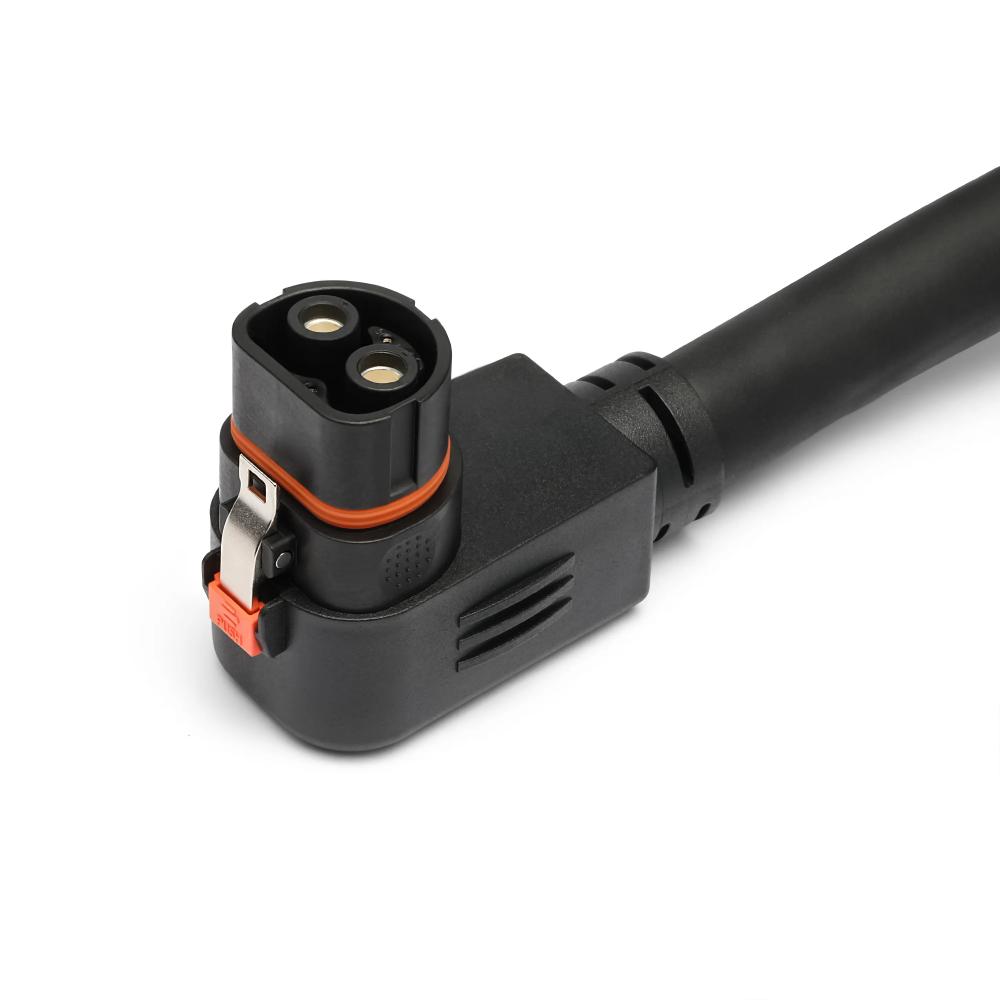 Lion Safari XP Expansion Pack