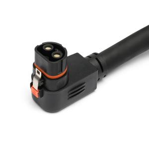 Lion Safari XP Expansion Pack