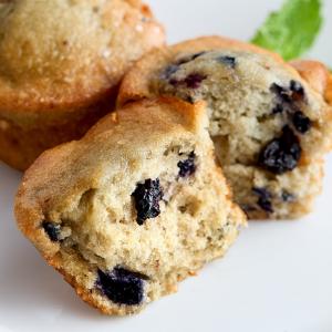 Hometown Provisions Dried Blueberries 2.5 lb. - 2/Case