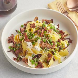 Dried Chanterelle Mushrooms 1 lb.