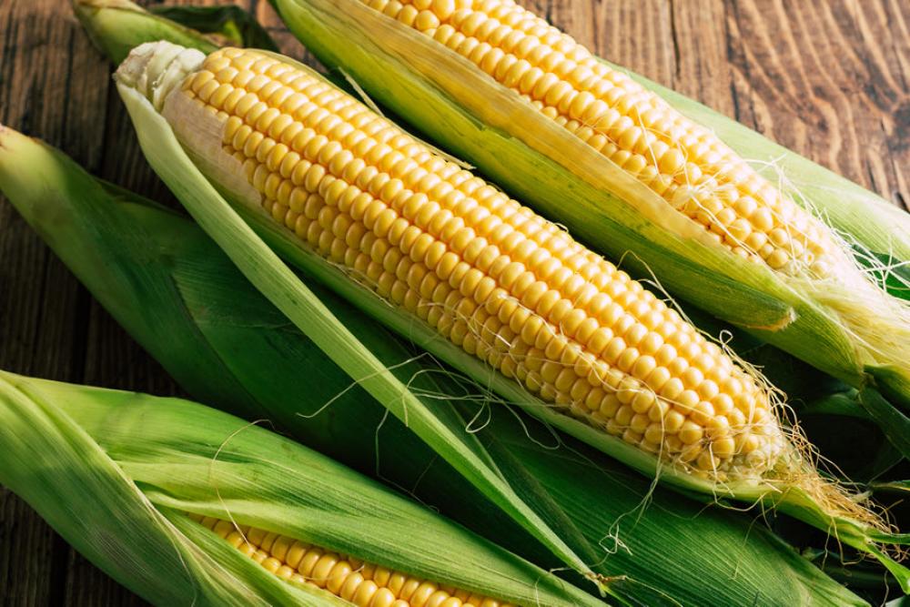 Freeze Dried Corn