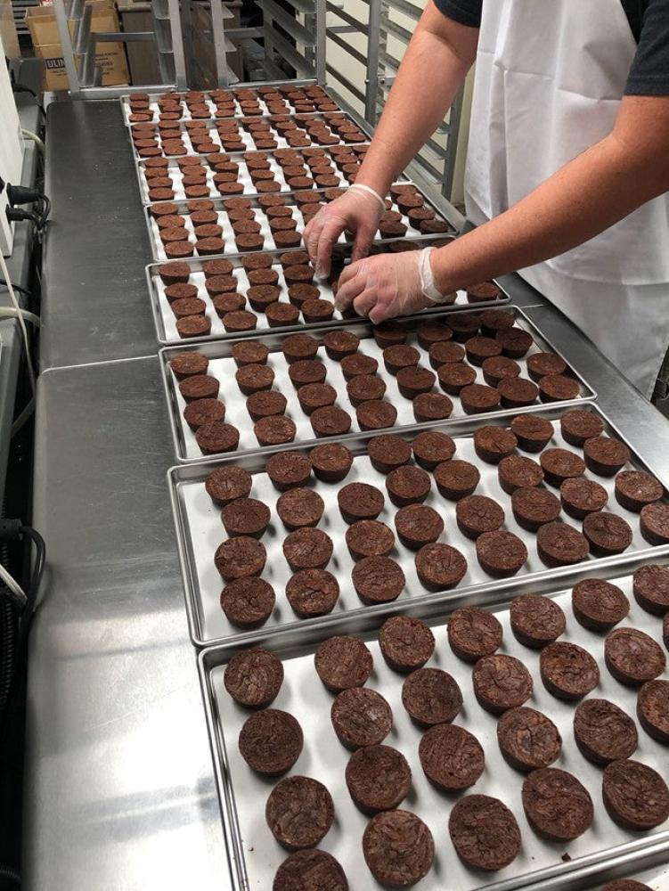 Freeze Dried Chocolate Brownie Bites