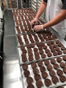 Freeze Dried Chocolate Brownie Bites