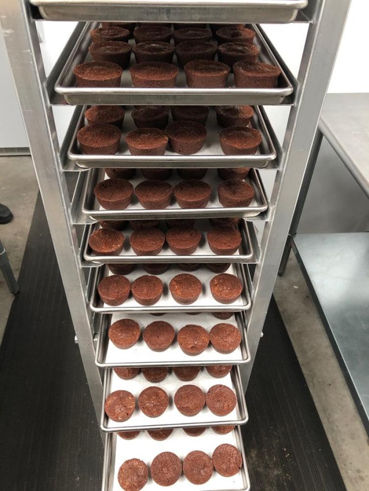 Freeze Dried Chocolate Brownie Bites