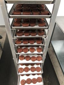 Freeze Dried Chocolate Brownie Bites