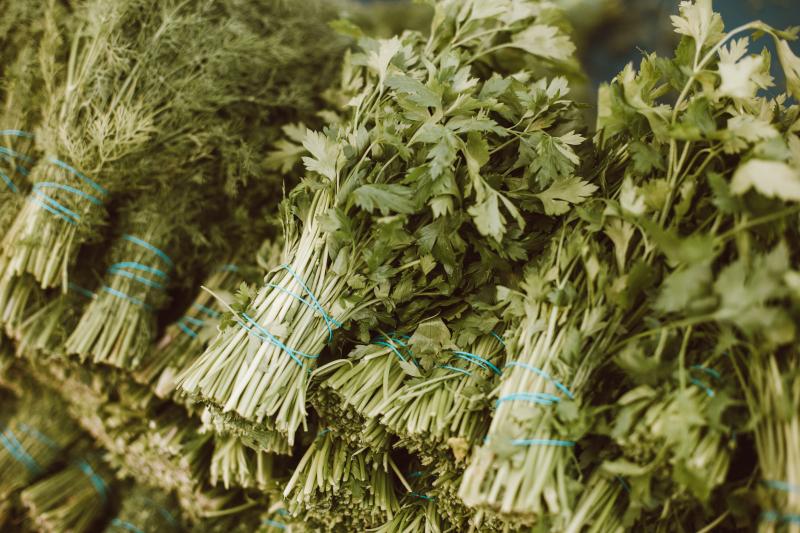 Basil & Oregano
