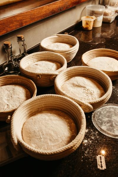 Sourdough Starter & Cultures