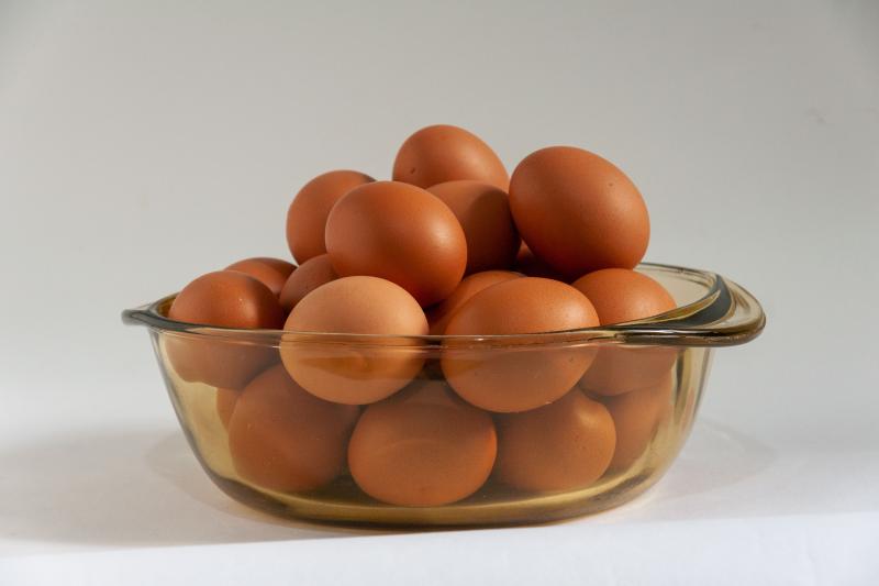 Brown Eggs