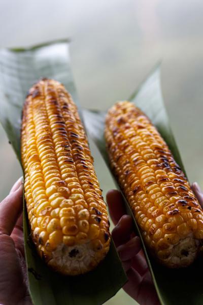 Corn On the Cob