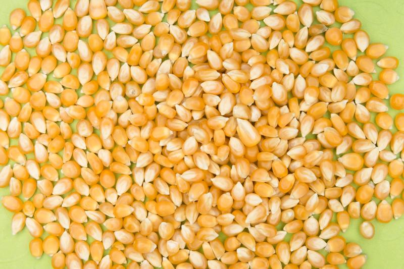 Popcorn Kernels