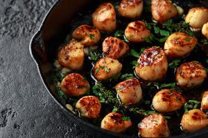 Freeze Dried Scallops