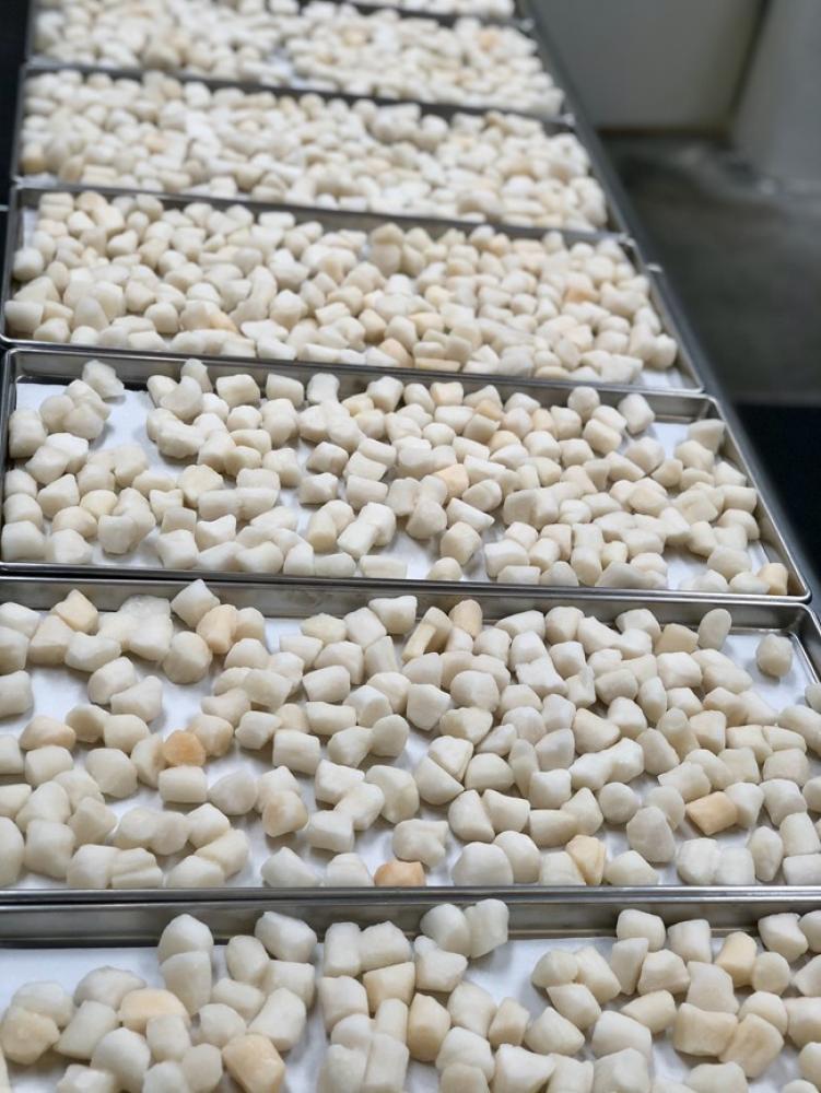 Freeze Dried Scallops