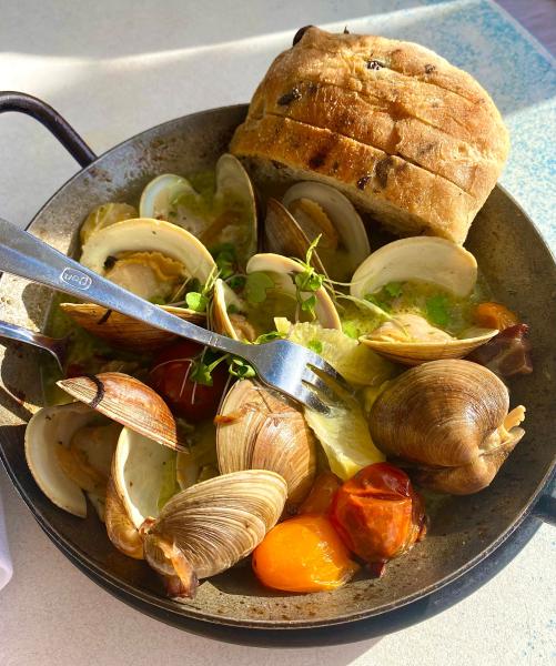 Mollusks (Clams, Mussels, Oysters, Scallops) 