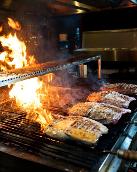 Broilers, Steamers & Salamanders