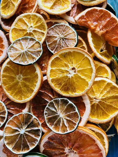 Dehydration & Freeze-Drying Machines