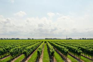 Farming, Livestock, Agriculture & Aquaculture