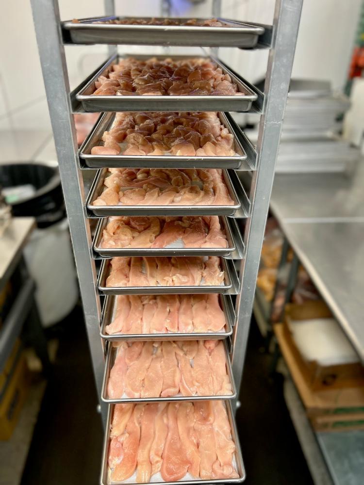Freeze Dried Uncooked Chicken Breast Strips