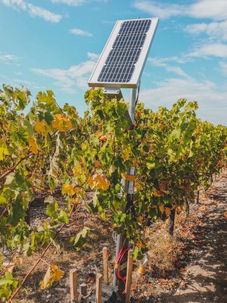 Solar Water & Irrigation