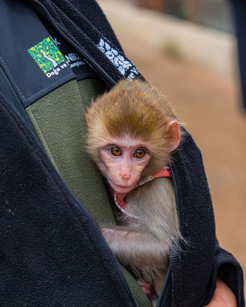 Rescue & Sanctuary Animals