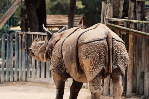 Zoo & Exotic Animals