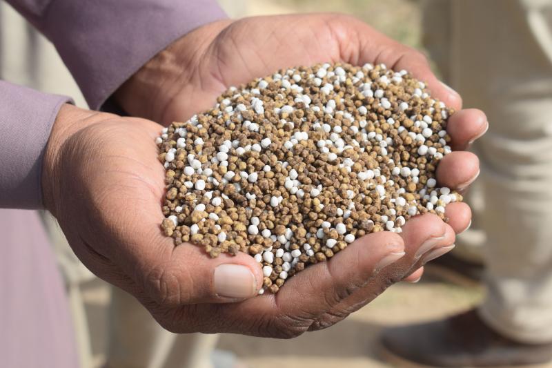 Soil, Fertilizer & Amendments