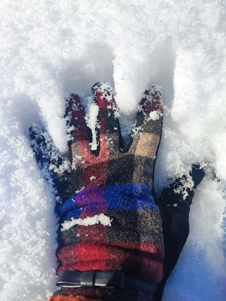 Gloves