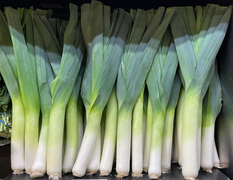 Alliums (Onions, Leeks, Garlic, etc)