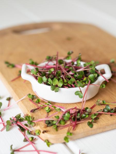  Sprouts & Microgreens 