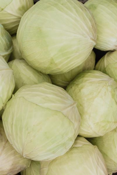 Cabbage