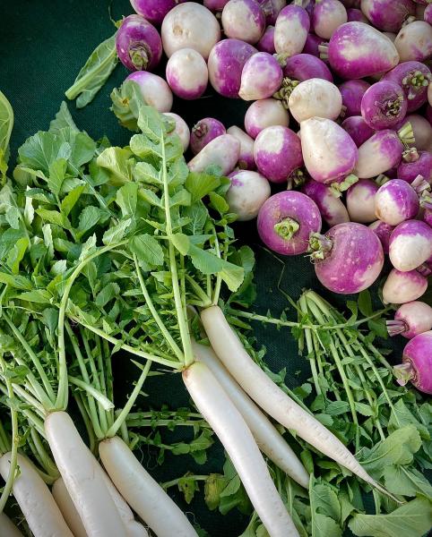 Mustard & Turnip Greens