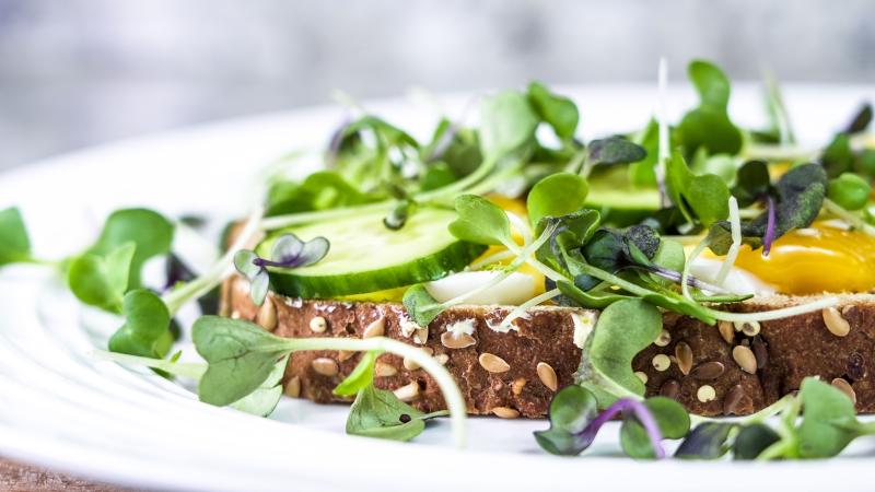 Sprouts & Microgreens