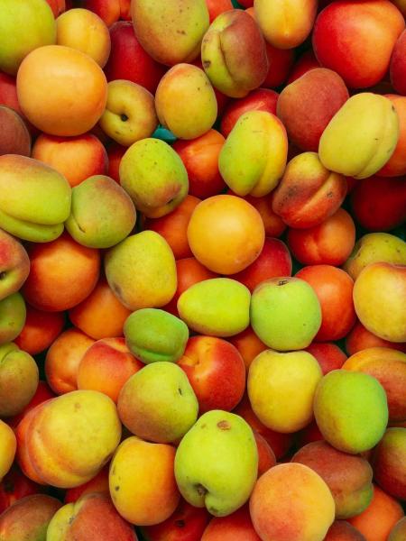 White Nectarines