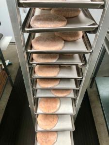 Freeze Dried 1/3lb Uncooked Chicken Patties with Duck Fat